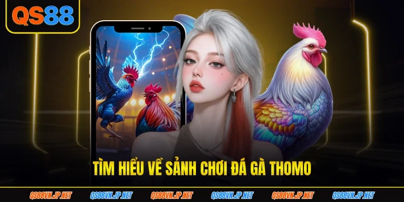 Tìm hiểu về sảnh chơi đá gà thomo Tìm hiểu về sảnh chơi đá gà thomo